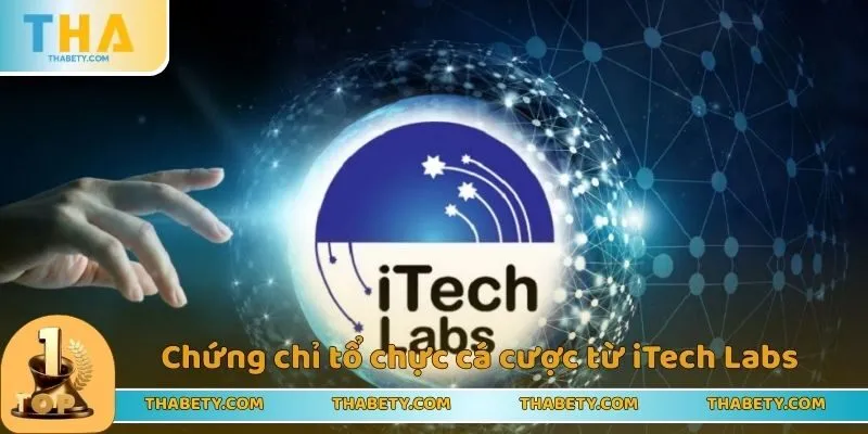 Chứng chỉ tổ chực cá cược từ cơ quan iTech Labs