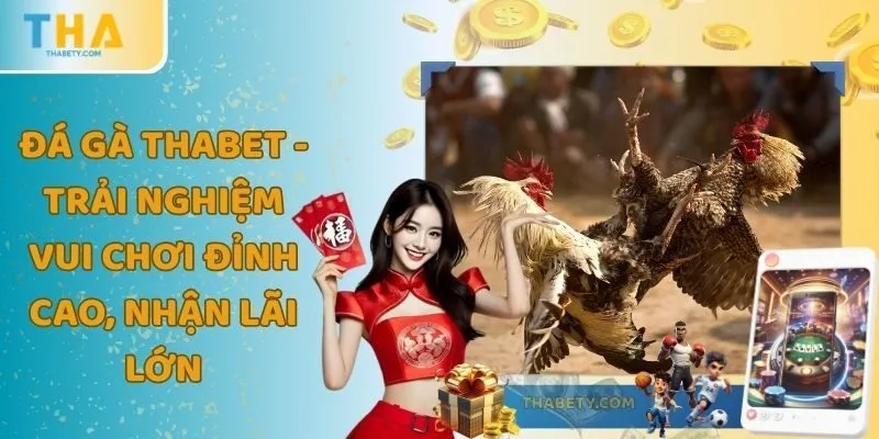 Đá Gà THABET - Trải Nghiệm Vui Chơi Đỉnh Cao, Nhận Lãi Lớn